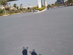 -宝安西湾红树林湿地公园