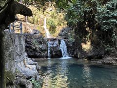 -鼎湖山风景区