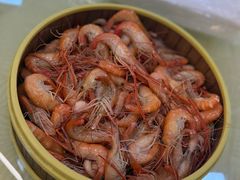 清蒸河虾-东胜客河鲜店·西江河鲜·老字號渔家菜