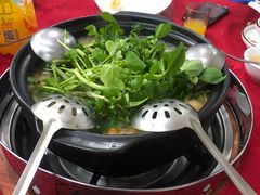 -花苑美食横琴生蚝火锅(拱北粤华路店)