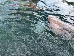 -威海天沐度假区温泉