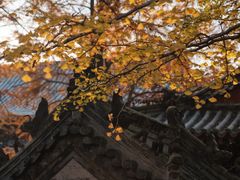 -青岛崂山太清宫