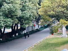 -太子山公园(园东路)