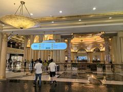 -澳门威尼斯人综合度假区