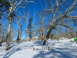 -大秃顶子山