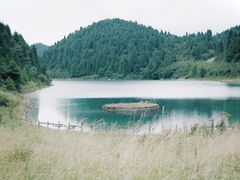 -武陵山森林公园