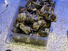 -火福·天湖阁大闸蟹博物馆主题餐厅(浅水湾店)