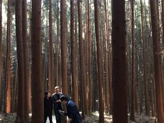 -山王坪喀斯特国家生态公园