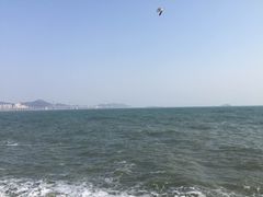 -星海湾跨海大桥