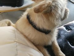 -赛卡联盟WSK卡丁车俱乐部