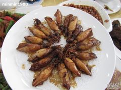 美极笔管鱼-海岛渔村大酒店(云霄路店)