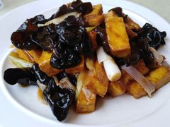 葱烧木耳豆腐-同发号饭庄(复兴路店)