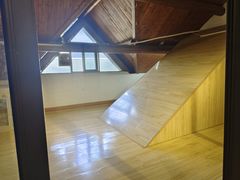 -翊宠yipet猫狗购宠庄园犬舍•猫舍