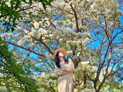 -国家植物园南园