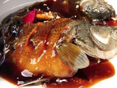 -绿茶餐厅(昆明世纪金源店)