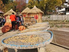 -塔川景区