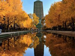 -玲珑塔公园