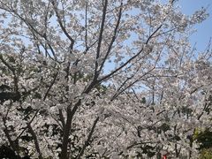 -徐家汇源景区-衡山公园