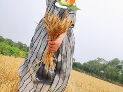 -西青郊野公园
