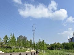 -四里河滨水生态公园