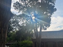 -晋祠公园