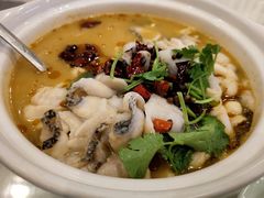 -蜀腾川·火锅鱼.烤鱼(新世界城店)