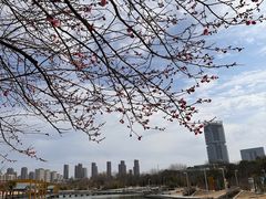 -白塘生态植物园