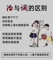 -丽妍春天
