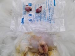 -荔康动物医院(康王北路店)