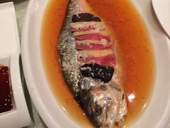 iphone_upload_pic-骏莱海鲜鱼港(五角场店)