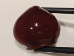 -鹿园 MOOSE(长宁店)