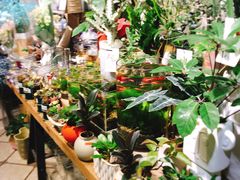 自助取餐区-缦云里花园餐厅