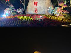 -野狸岛