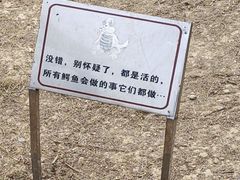 -南宁市动物园