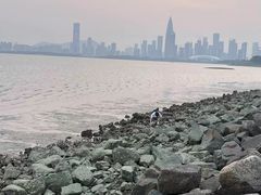 -深圳湾公园(南山区)