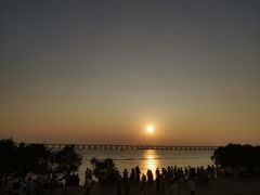 -宝安西湾红树林湿地公园