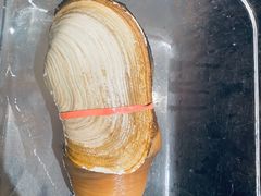 象拔蚌刺身-ONE FULL 古董港式海鲜火锅