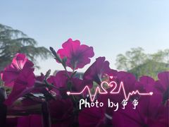 -锡师附小学(学前街校区)