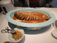 -阿五黄河大鲤鱼(英协路店)