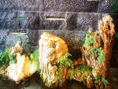 -野菌皇海景野生菌火锅(滨海大道店)
