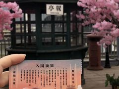 -武汉知音号