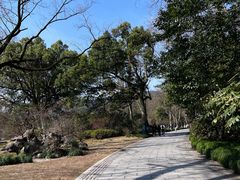 -杭州植物园