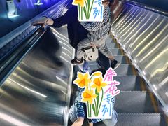 -白鹤梁水下博物馆