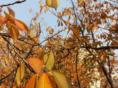 -苏州河梦清园环保主题公园