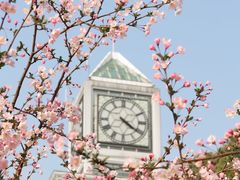 -中南财经政法大学(首义校区)