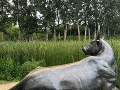 -马家湾湿地公园