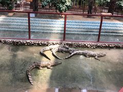 -呀路古热带植物园