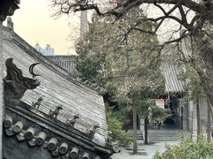 -白云观