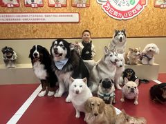 -和它·交个朋友·狗咖猫咖(爱琴海店)