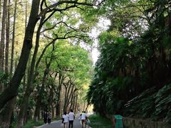 -采石矶景区